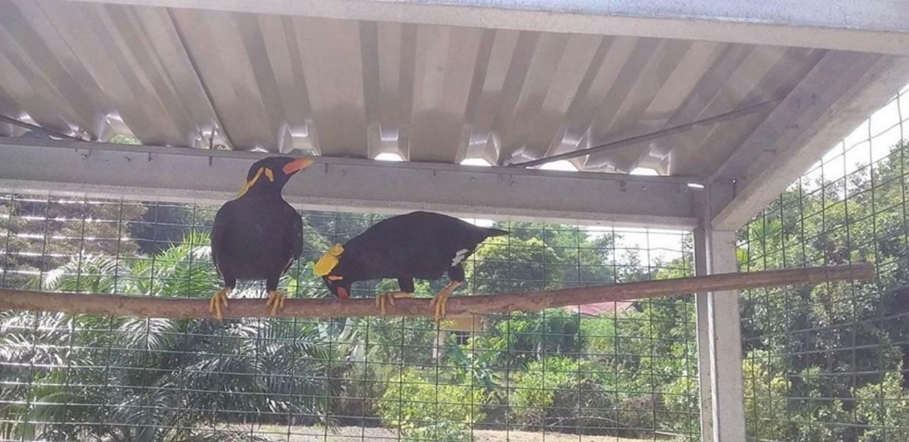 Seri Kenangan Kota Samarahan Dış mekan fotoğraf